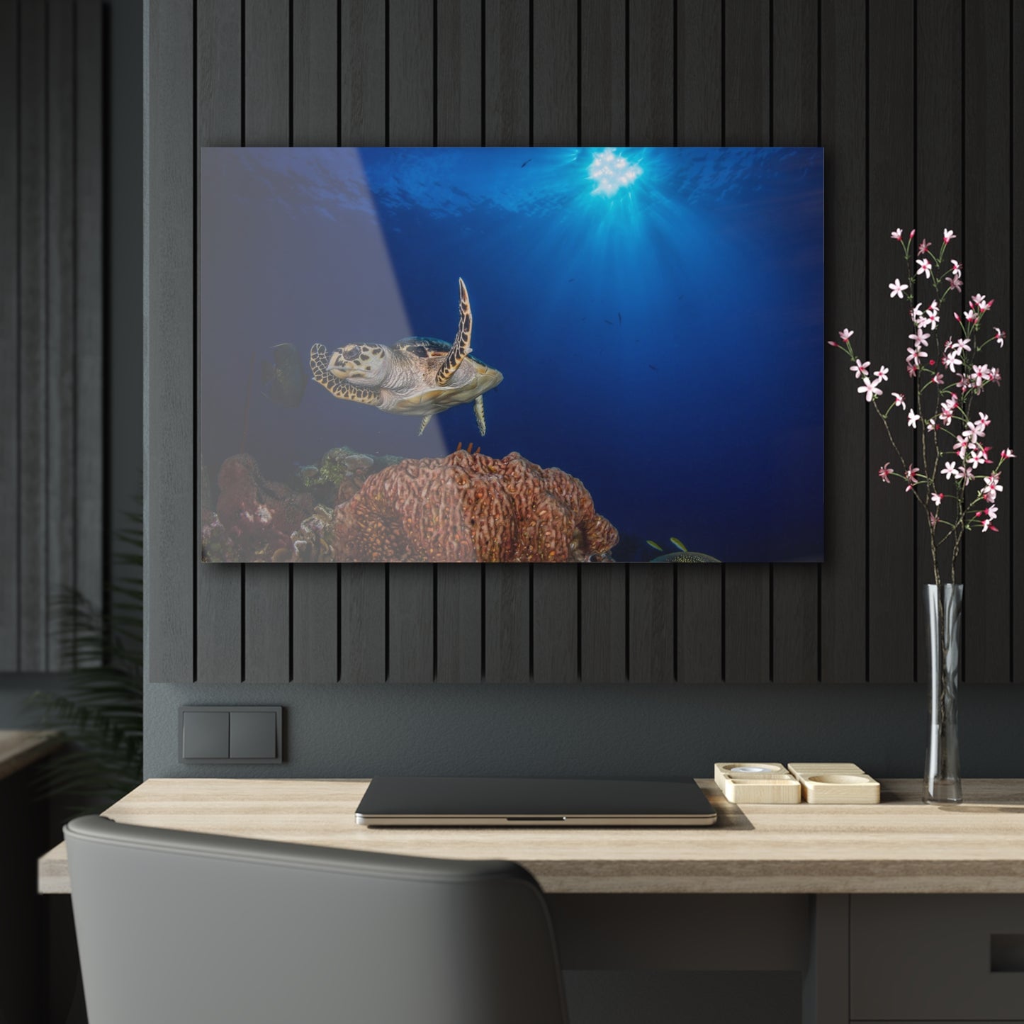Acrylic Wall Art - Hawksbill Turtle Poses Above The Reef