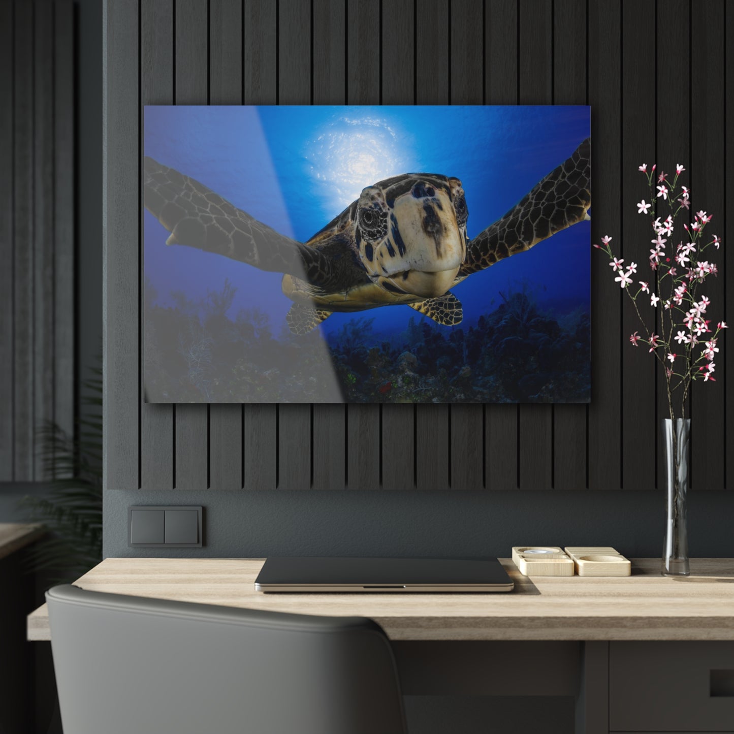 Acrylic Wall Art - Hawksbill Turtle Close Up Grand Cayman