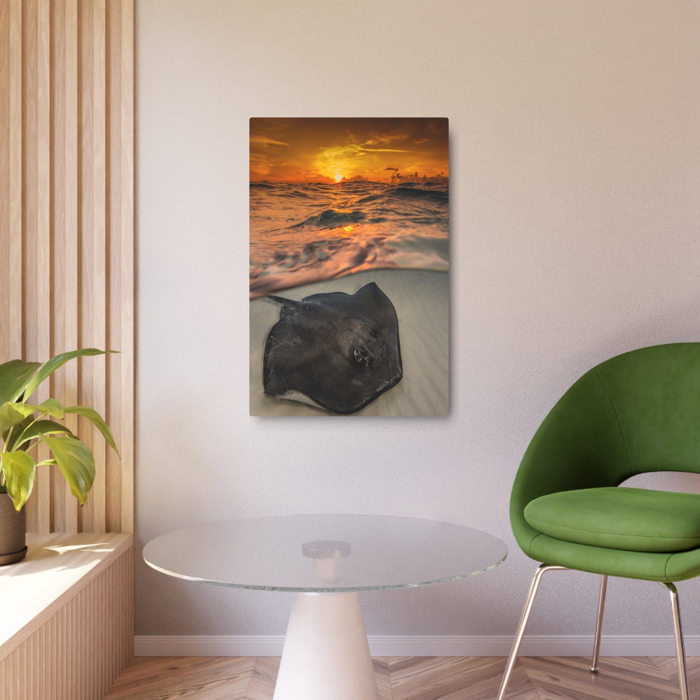 Metal Wall Art - Southern Atlantic Stingray At Sunrise - Grand Cayman