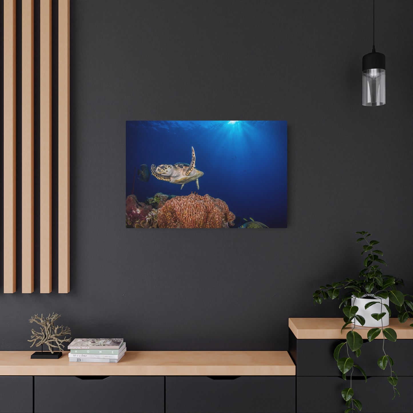 "Hawksbill Turtle Poses Above The Reef" - Metal Print