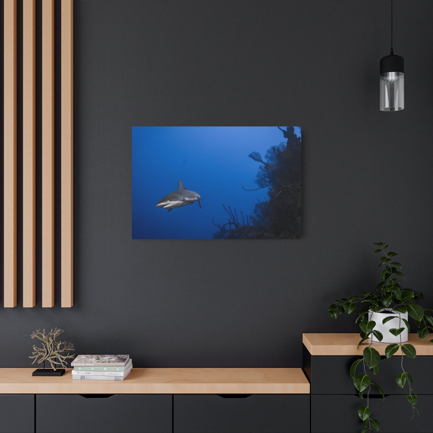 "Reef Shark Cruiser" Metal Print