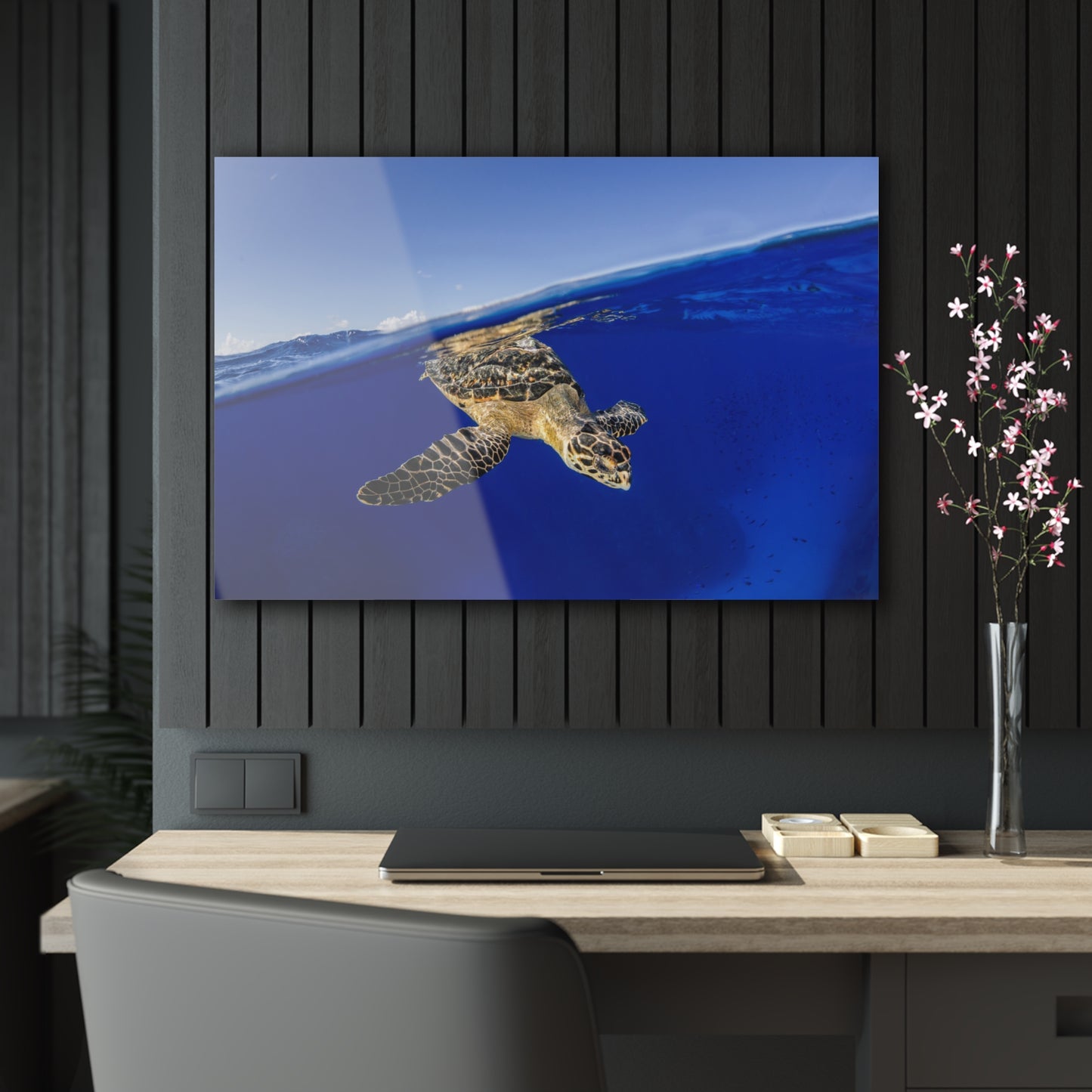 Acrylic Wall Art - Hawksbill Turtle Dive Grand Cayman