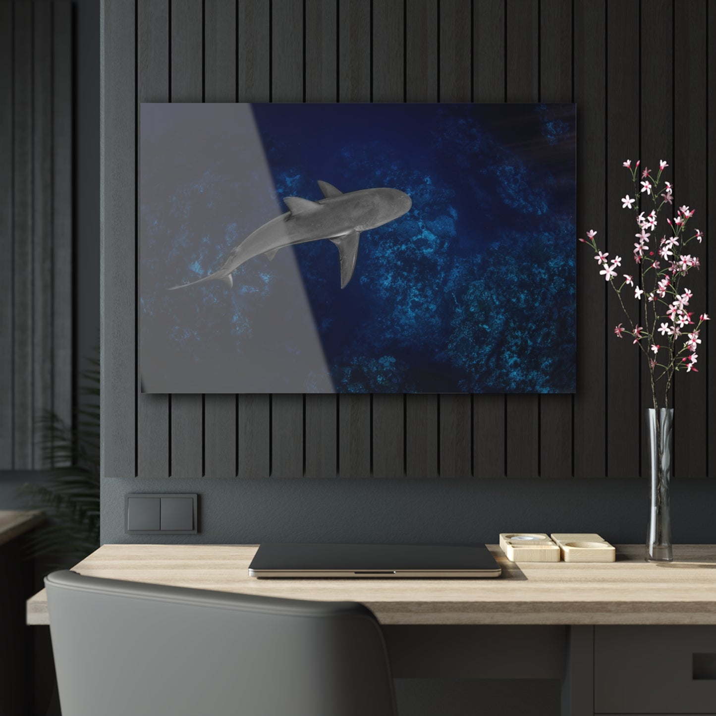 Acrylic Wall Art - Caribbean Reef Shark Cruises The Edge - Grand Cayman