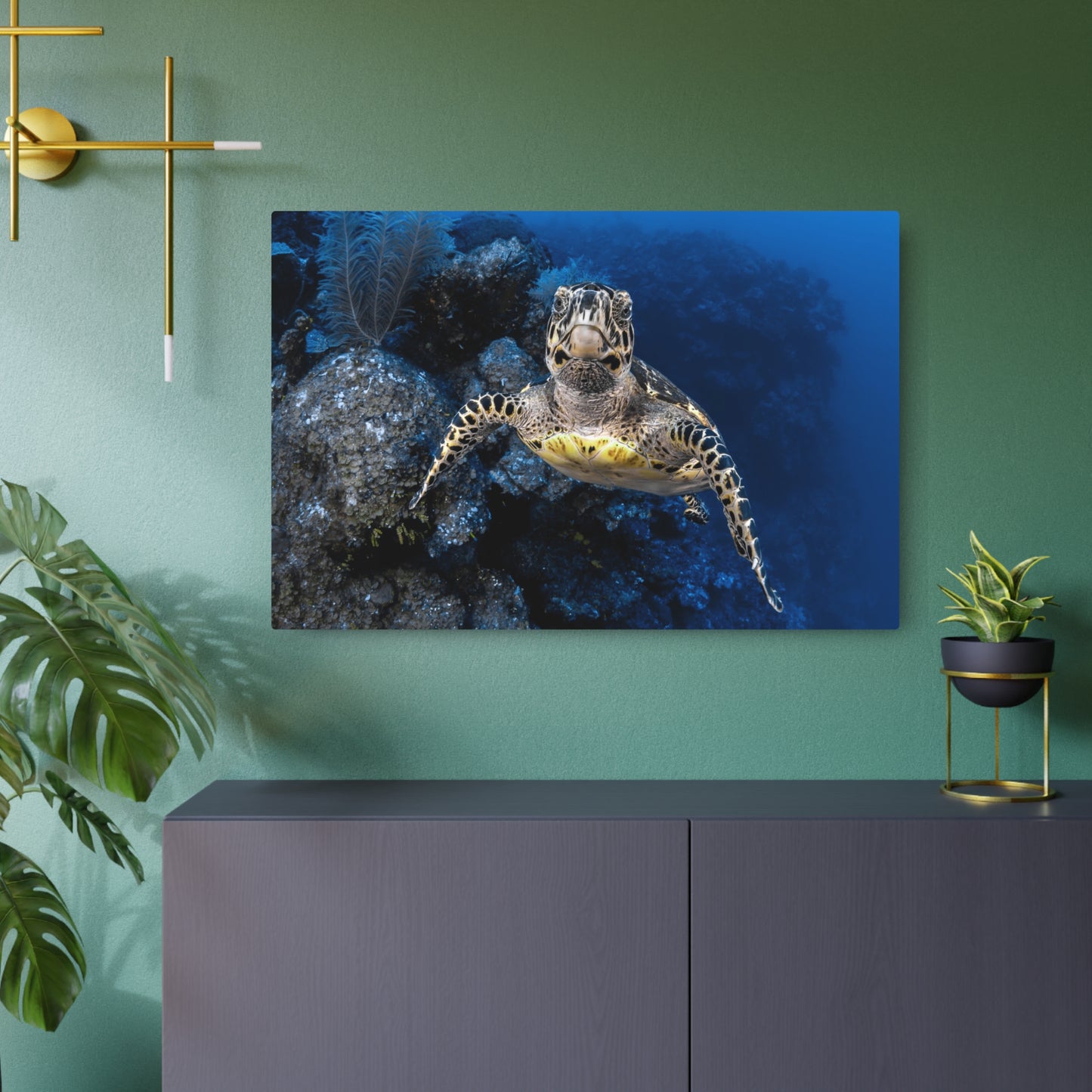 "Turtle Drop-off" Metal Print