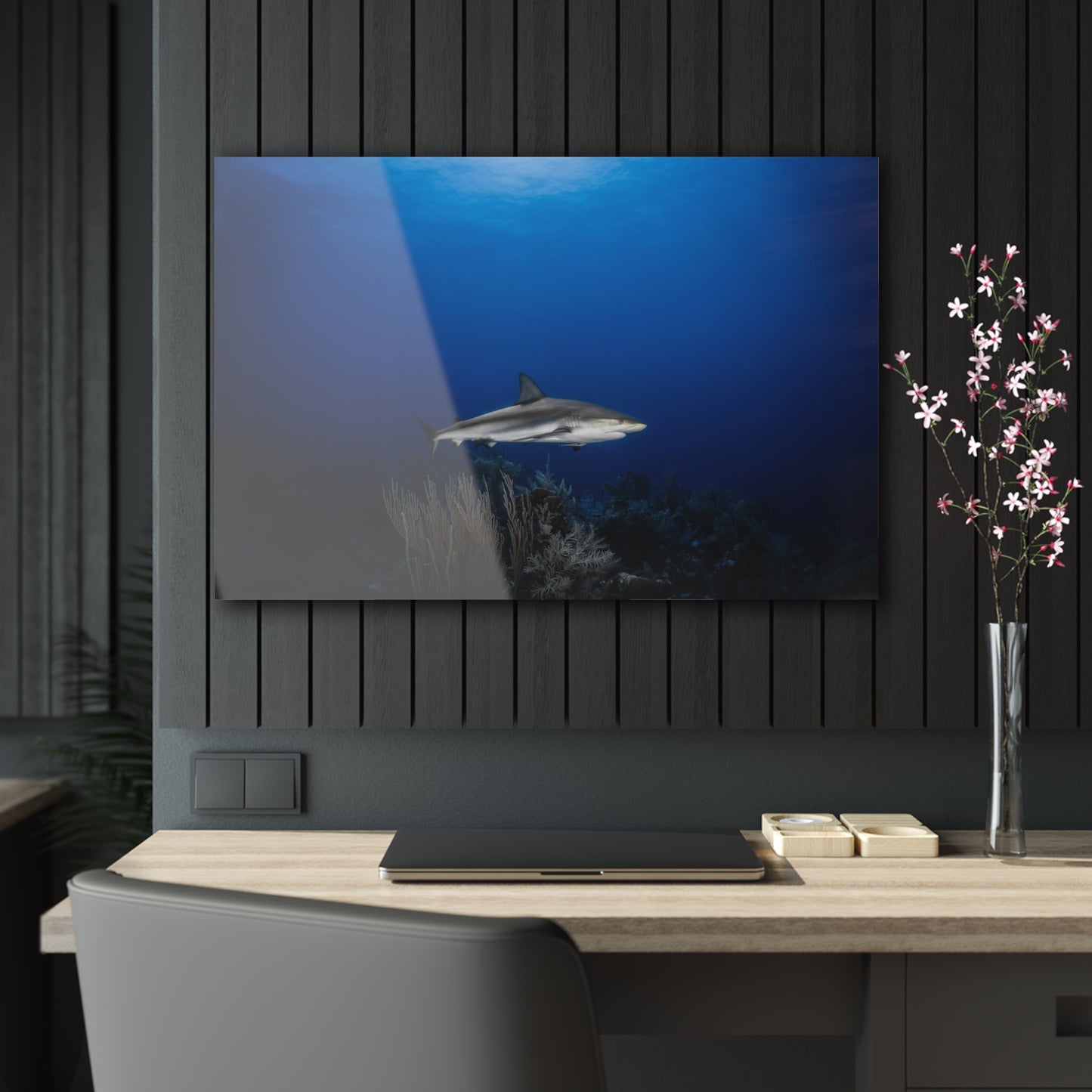 Acrylic Wall Art - Caribbean Reef Shark Encounter While Scuba Diving - Grand Cayman 1