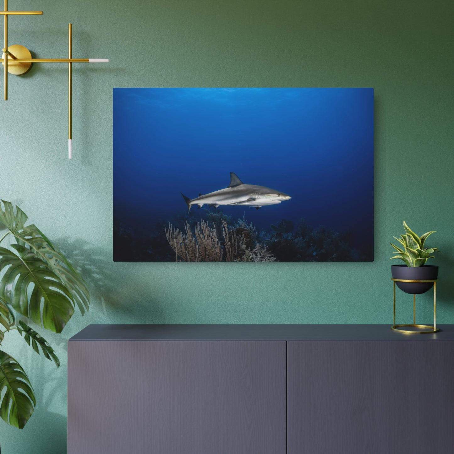 "Shark Center" Metal Print
