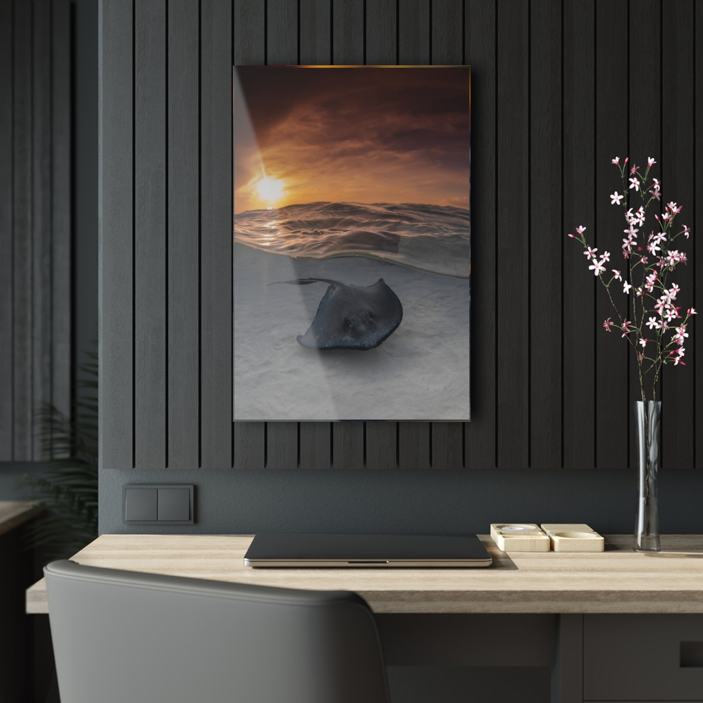 Acrylic Wall Art - A Stingray Swims Along The Sand At Sunrise - Grand Cayman