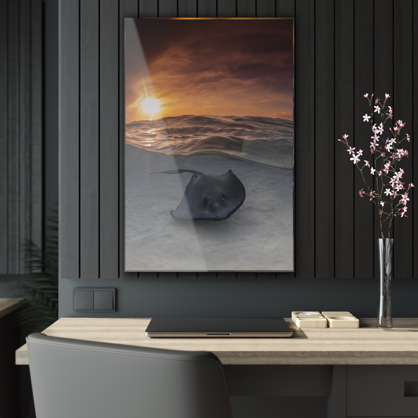 Acrylic Wall Art - A Stingray Swims Along The Sand At Sunrise - Grand Cayman
