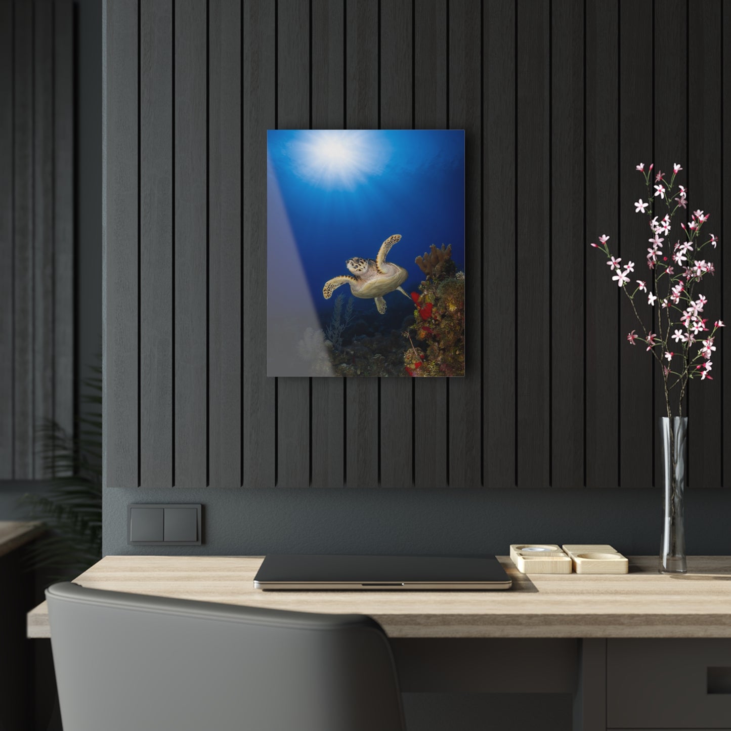 Acrylic Wall Art - Hawksbill Turtle Swims Along The Coral Reef With Ample Sunshine Above - Grand Cayman