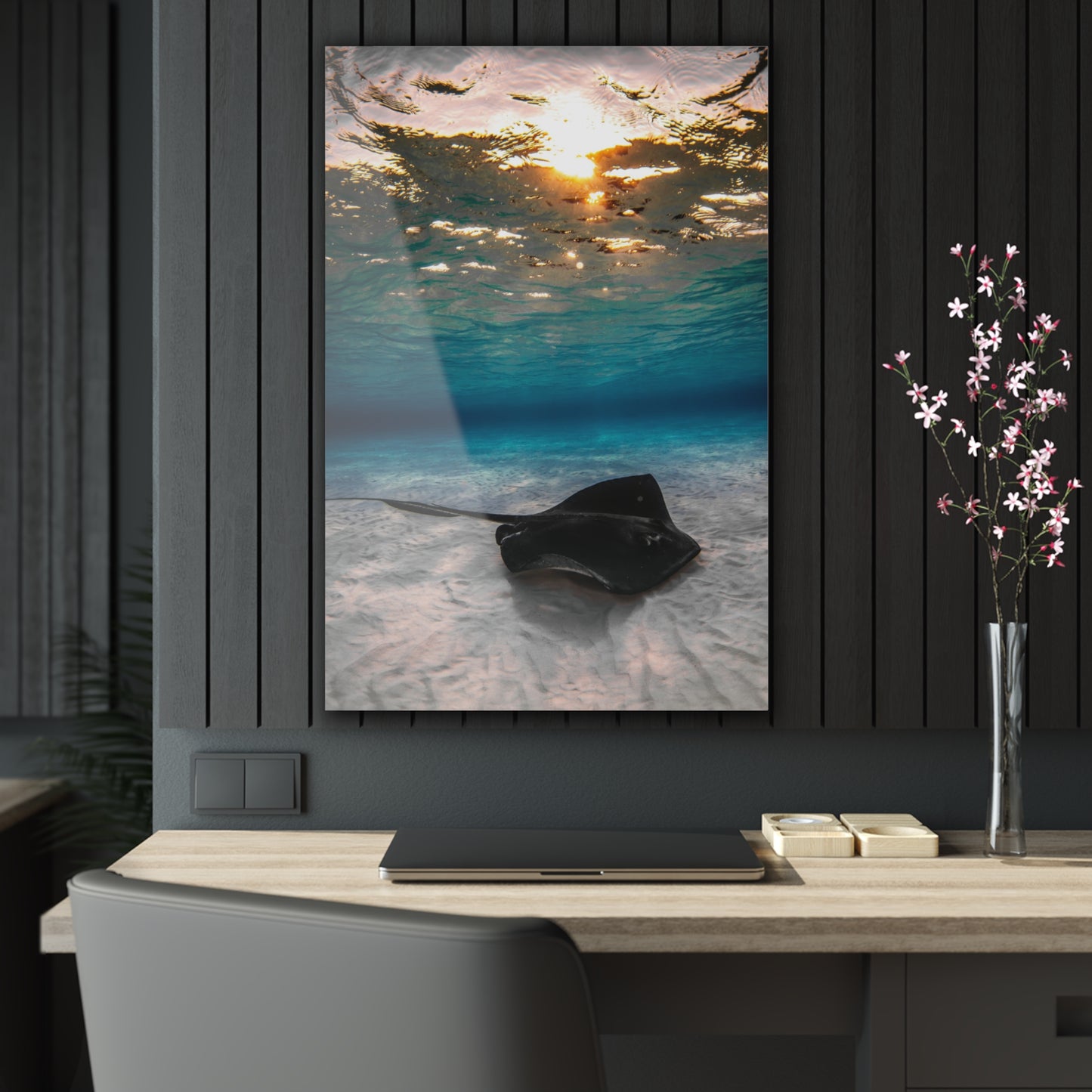 Acrylic Wall Art - A Southern Atlantic Stingray Swimming A Sunrise - Grand Cayman