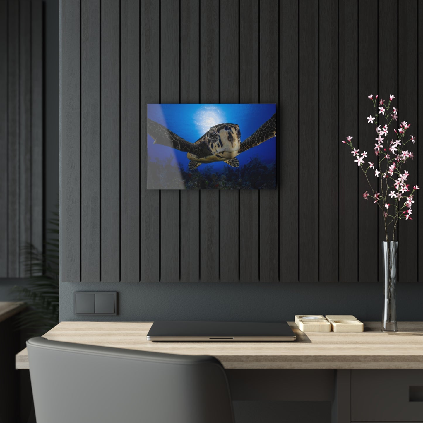 Acrylic Wall Art - Hawksbill Turtle Close Up Grand Cayman