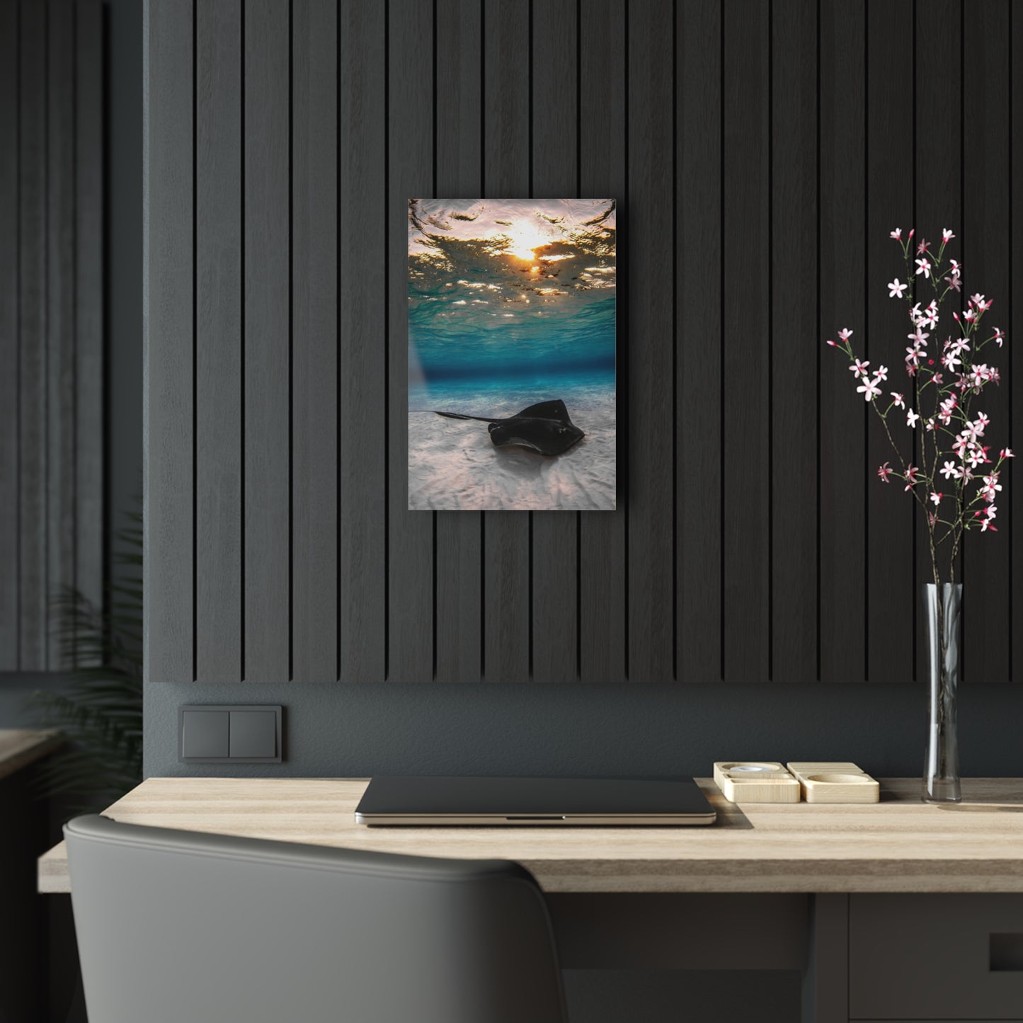 Acrylic Wall Art - A Southern Atlantic Stingray Swimming A Sunrise - Grand Cayman