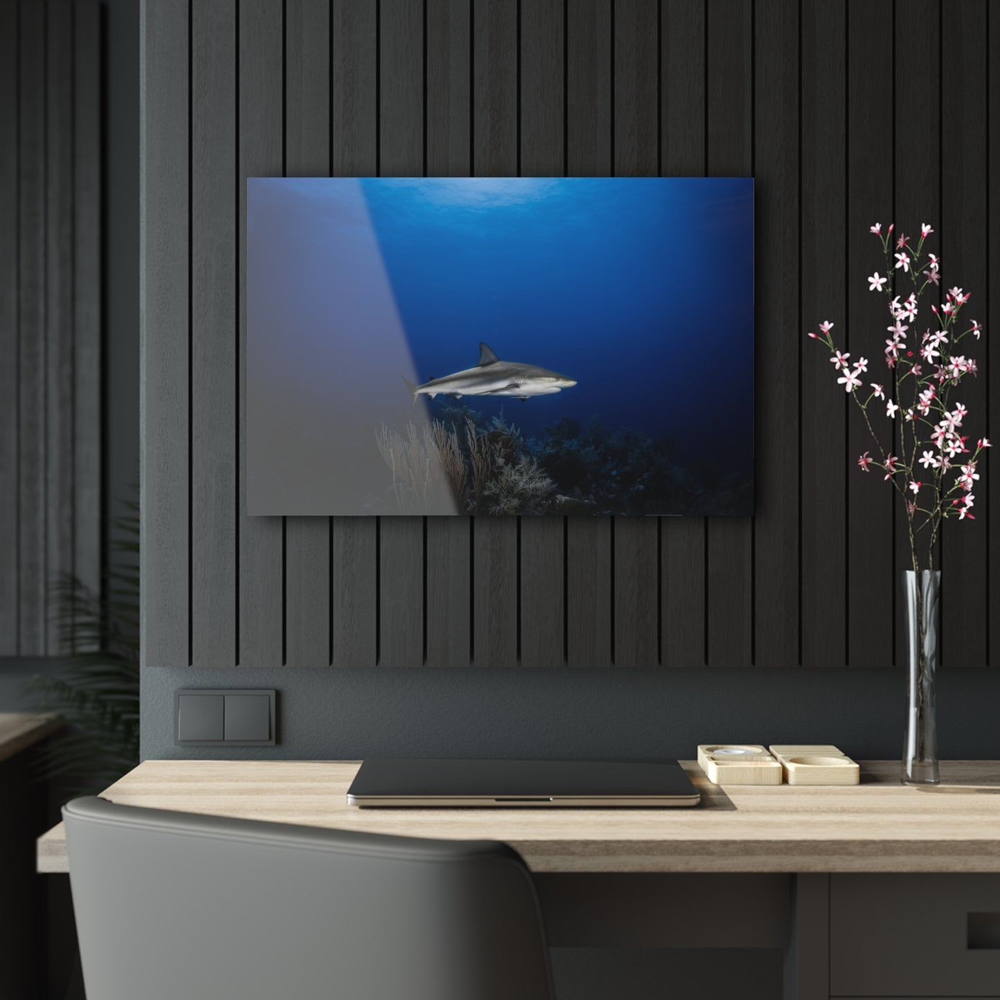 Acrylic Wall Art - Caribbean Reef Shark Encounter While Scuba Diving - Grand Cayman 1