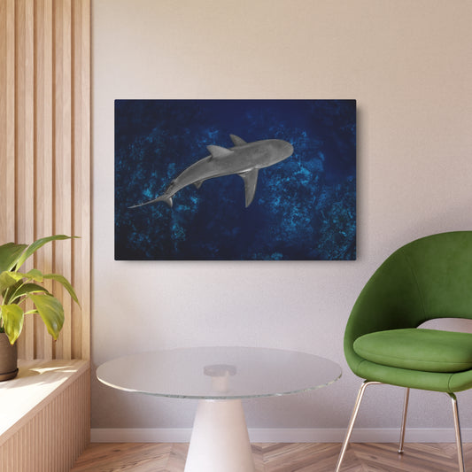 "Caribbean Reef" Metal Print