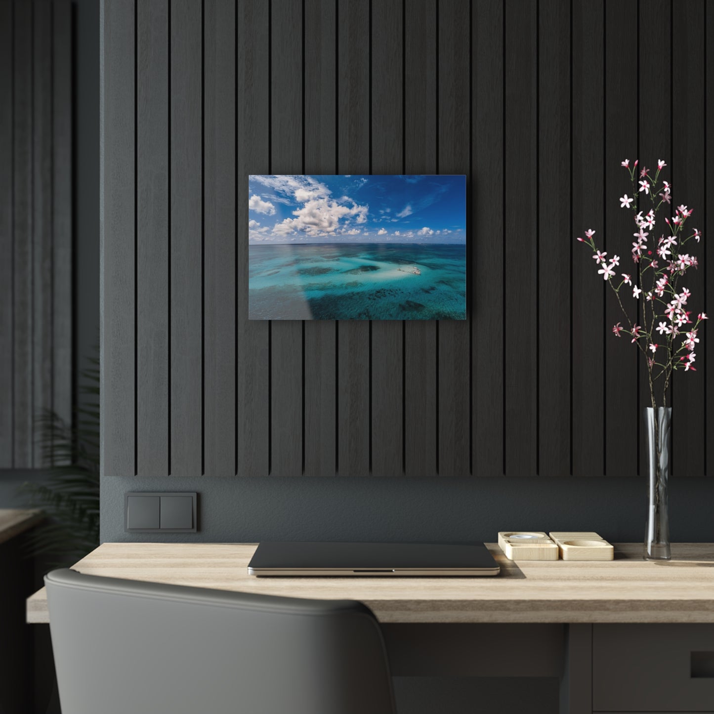 Acrylic Wall Art - Ariel Shot Crystal Clear Water Stingray City Grand Cayman