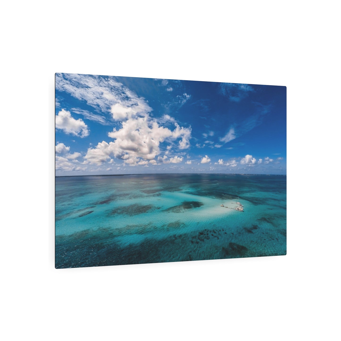 "Crystal Clear" Metal Print