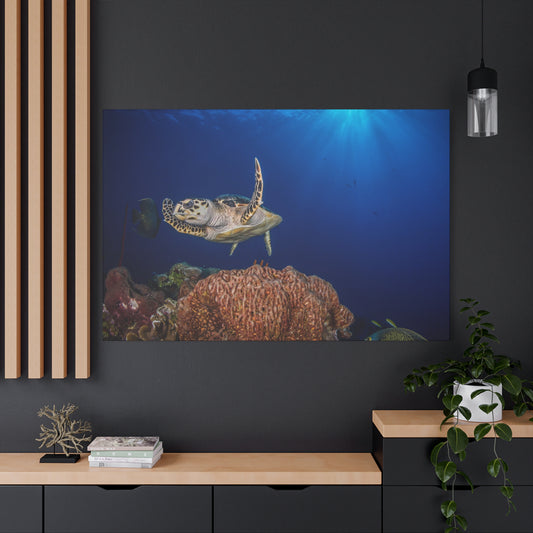 Canvas Print