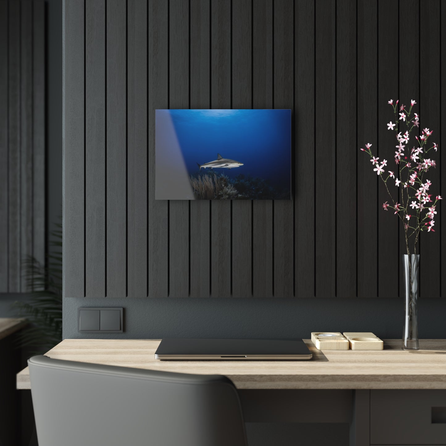 Acrylic Wall Art - Caribbean Reef Shark Encounter While Scuba Diving - Grand Cayman 1