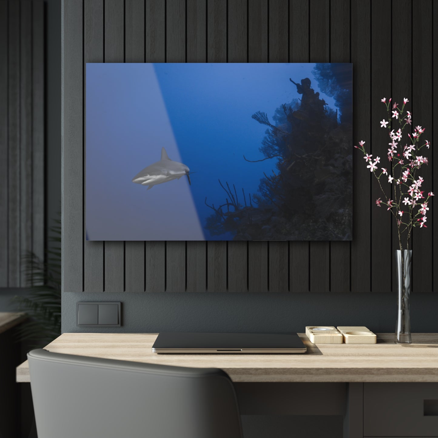 Acrylic Wall Art - Reef Shark Cruises the North Wall - Grand Cayman