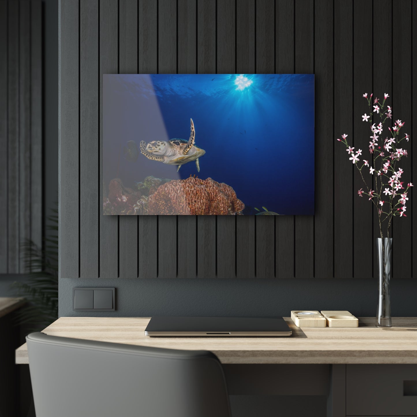 Acrylic Wall Art - Hawksbill Turtle Poses Above The Reef