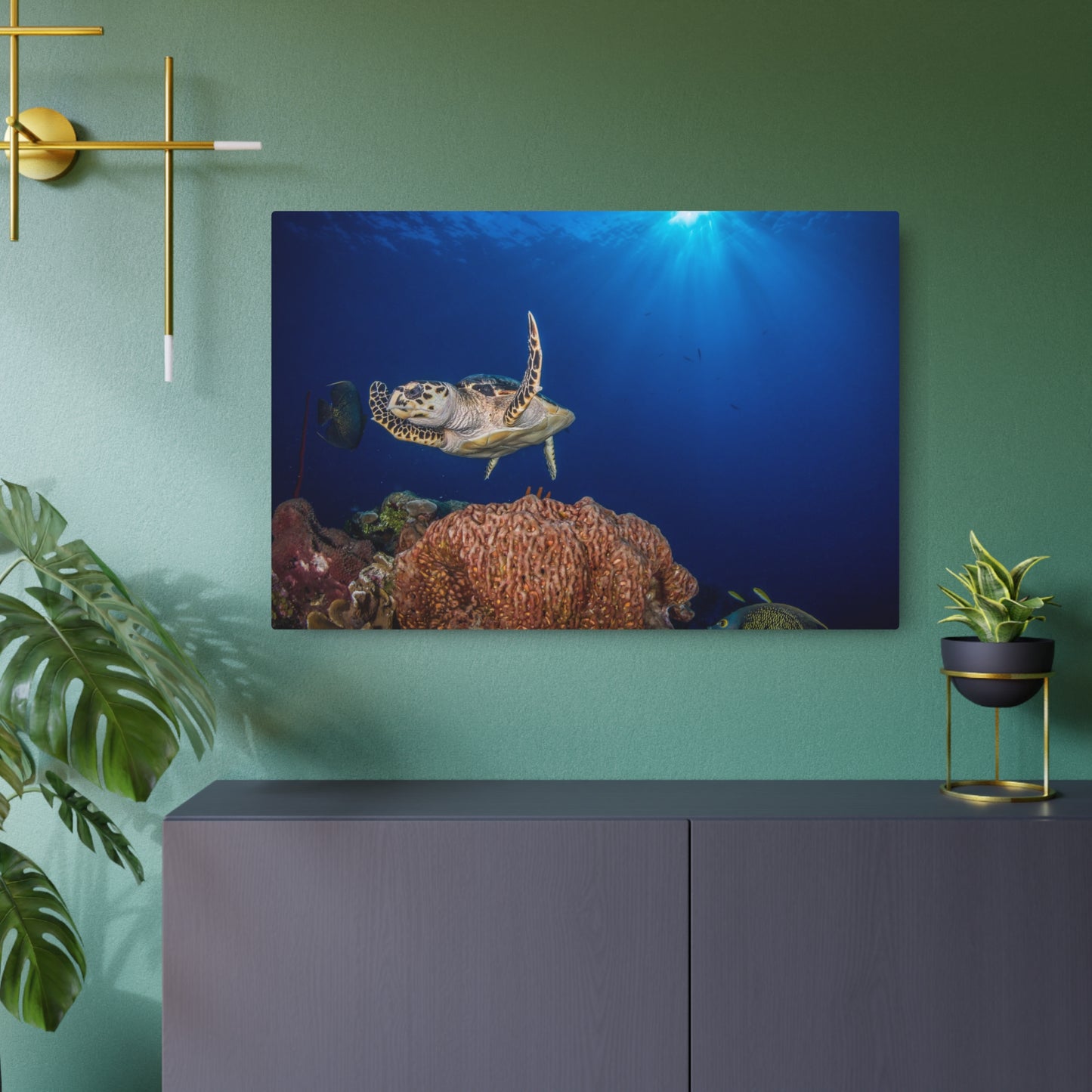 "Hawksbill Turtle Poses Above The Reef" - Metal Print