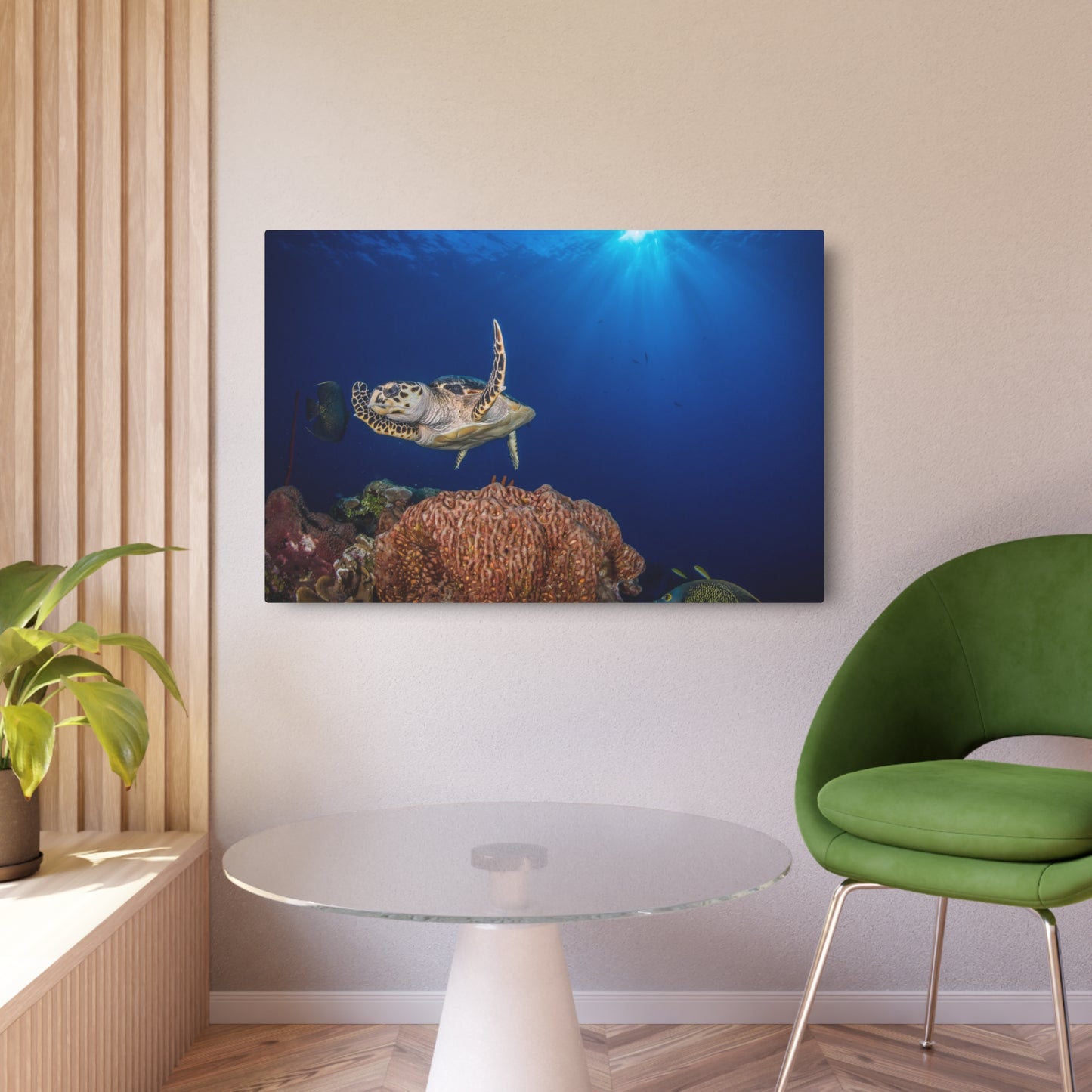 "Hawksbill Turtle Poses Above The Reef" - Metal Print