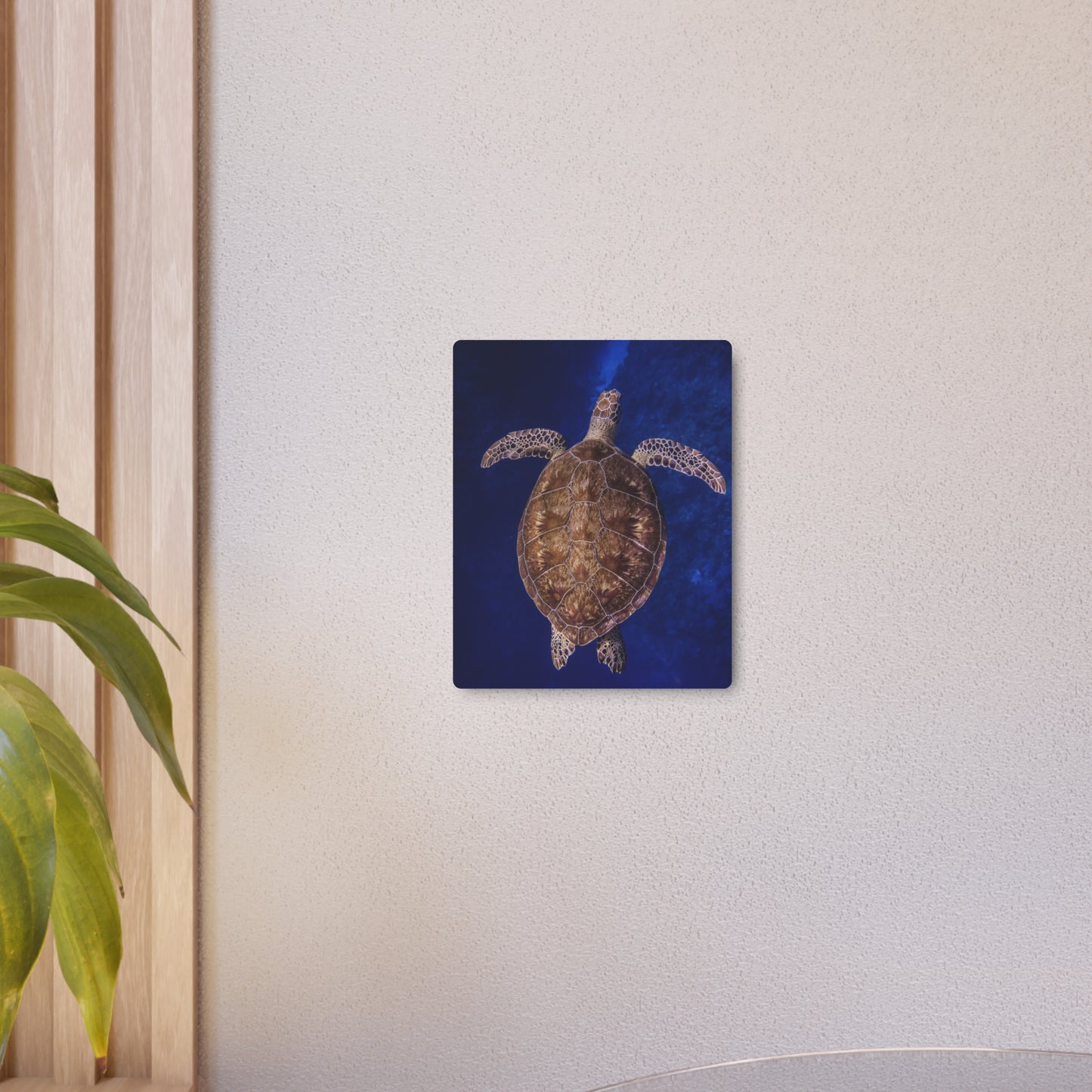 "Shiny Shell" Metal Print