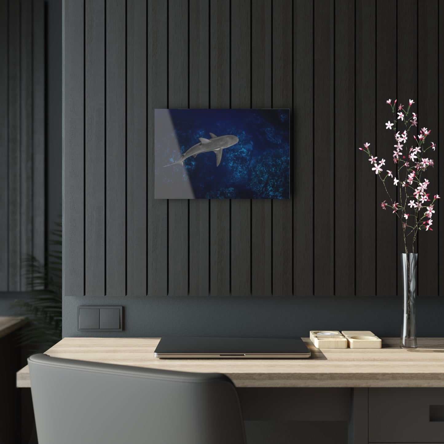 Acrylic Wall Art - Caribbean Reef Shark Cruises The Edge - Grand Cayman