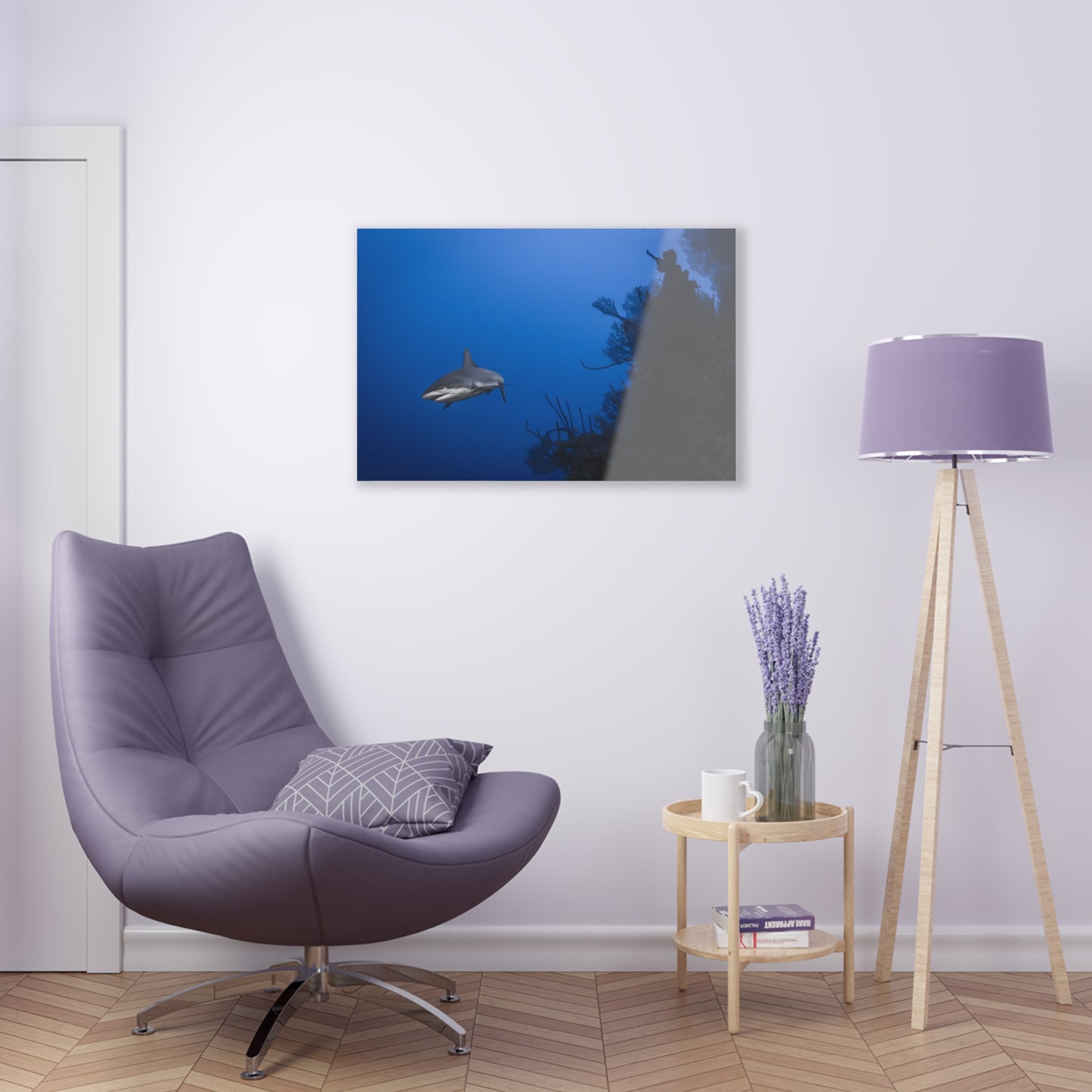 Acrylic Wall Art - Reef Shark Cruises the North Wall - Grand Cayman