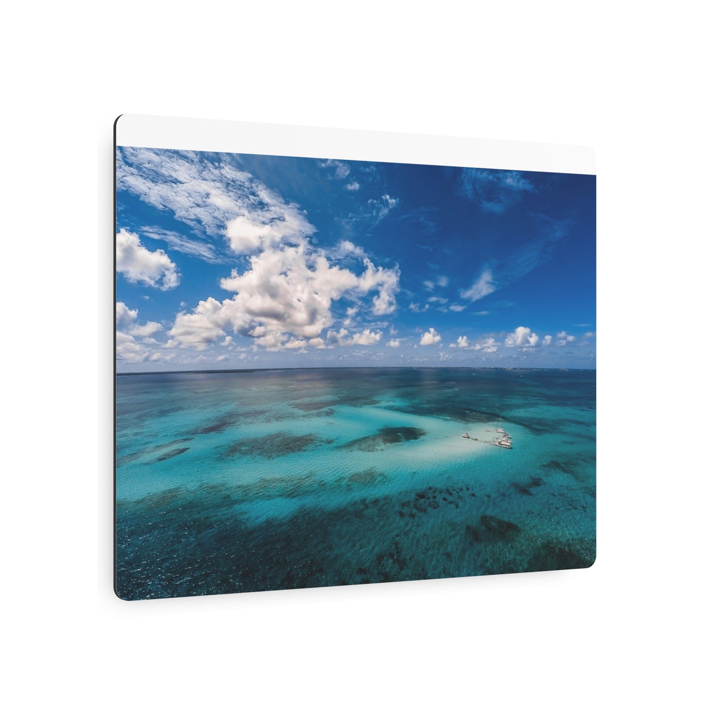 "Crystal Clear" Metal Print
