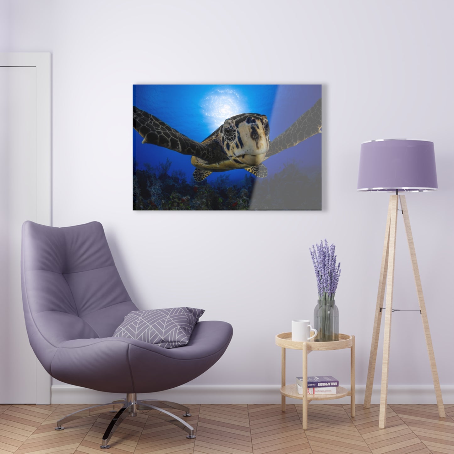 Acrylic Wall Art - Hawksbill Turtle Close Up Grand Cayman