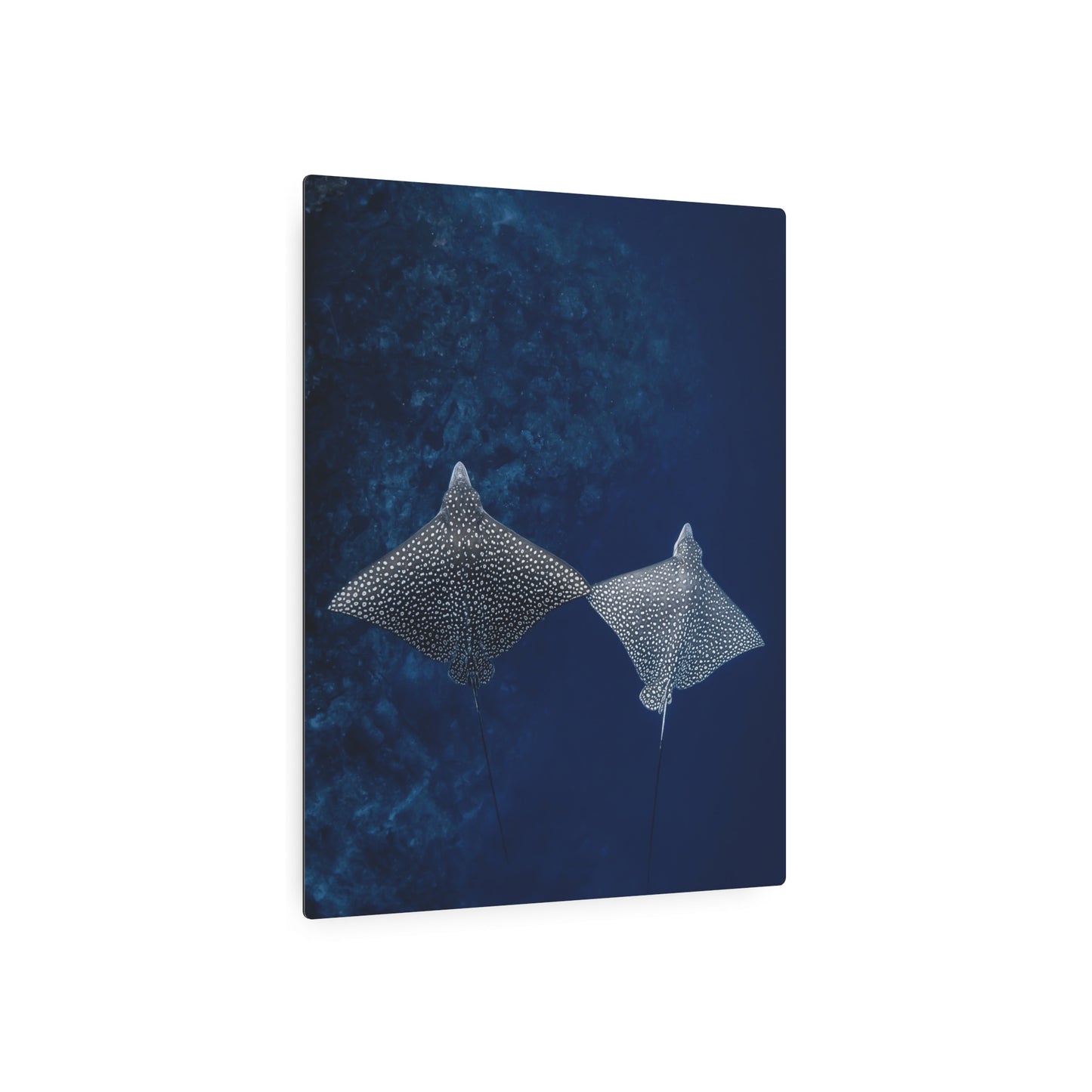 "High-Five" Metal Print