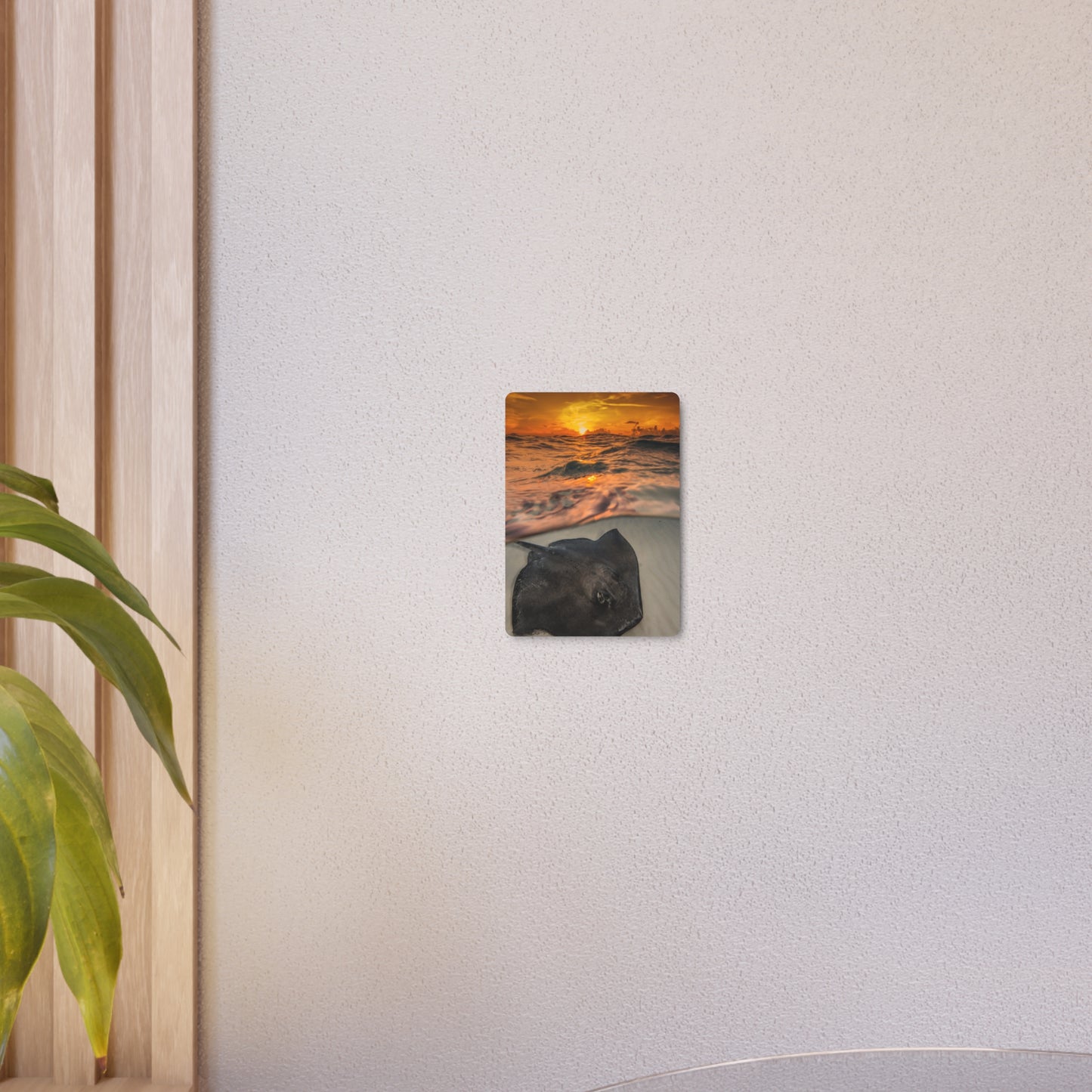 Metal Wall Art - Southern Atlantic Stingray At Sunrise - Grand Cayman