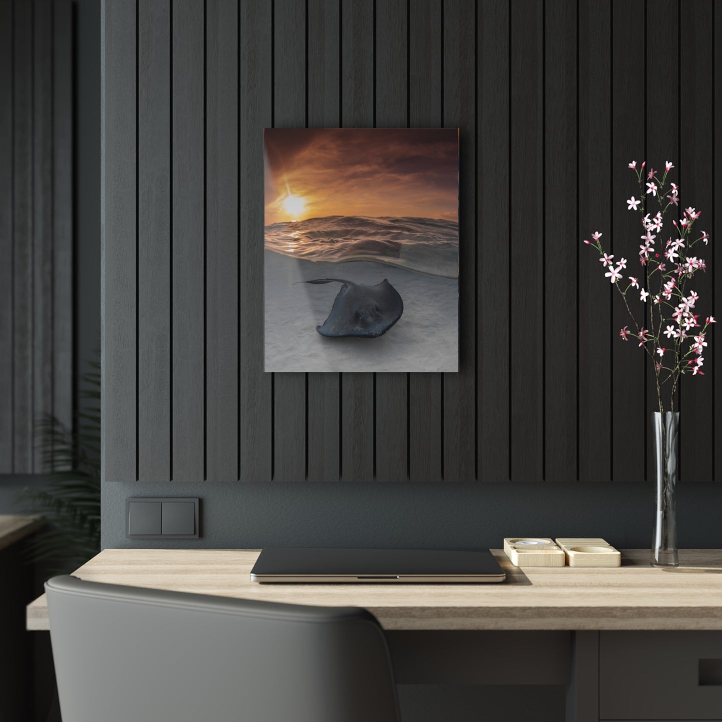 Acrylic Wall Art - A Stingray Swims Along The Sand At Sunrise - Grand Cayman