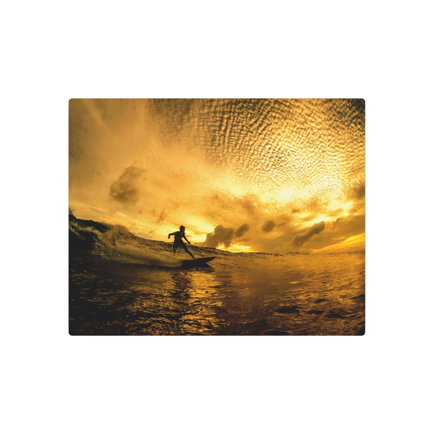 "Local Surfer" Metal Print