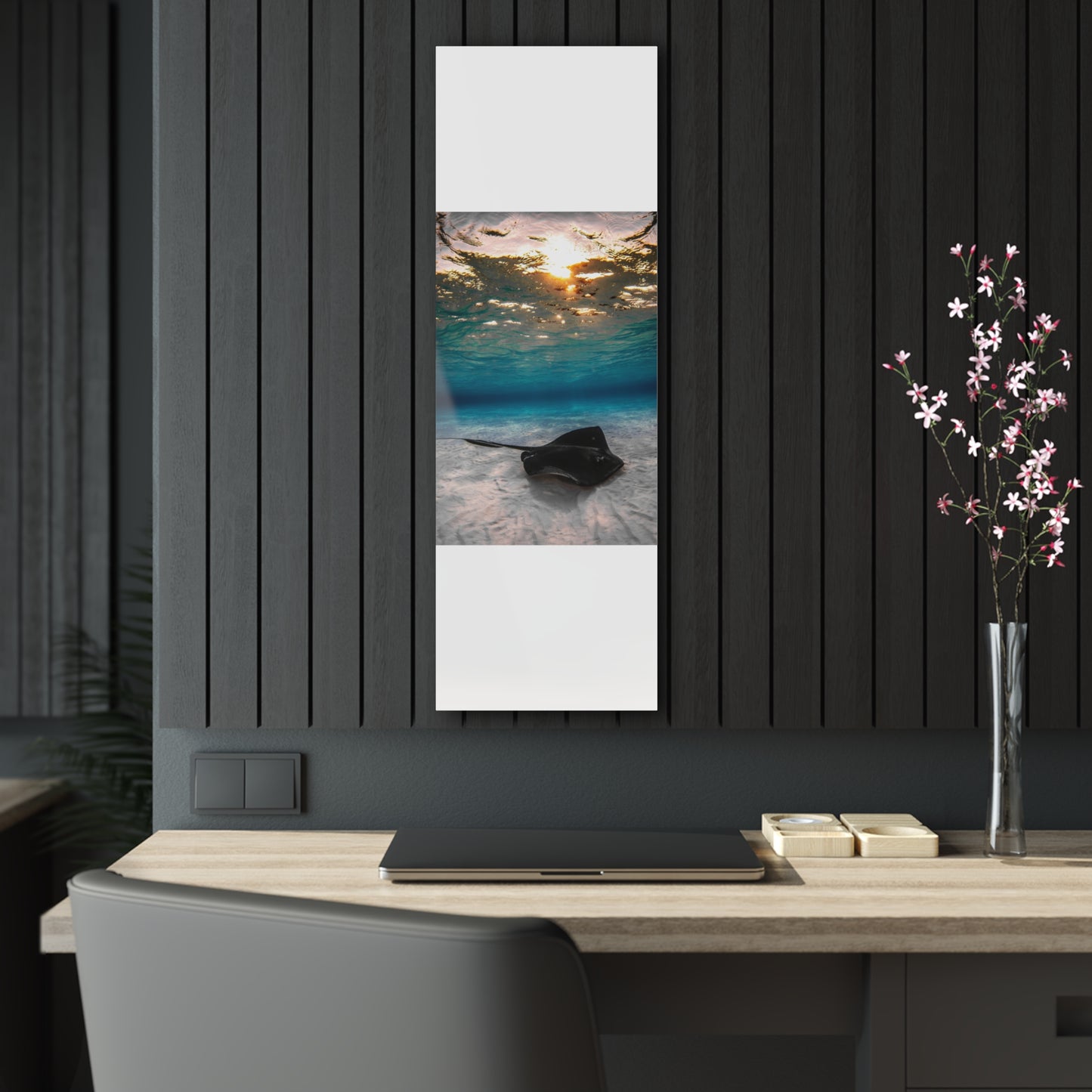 Acrylic Wall Art - A Southern Atlantic Stingray Swimming A Sunrise - Grand Cayman