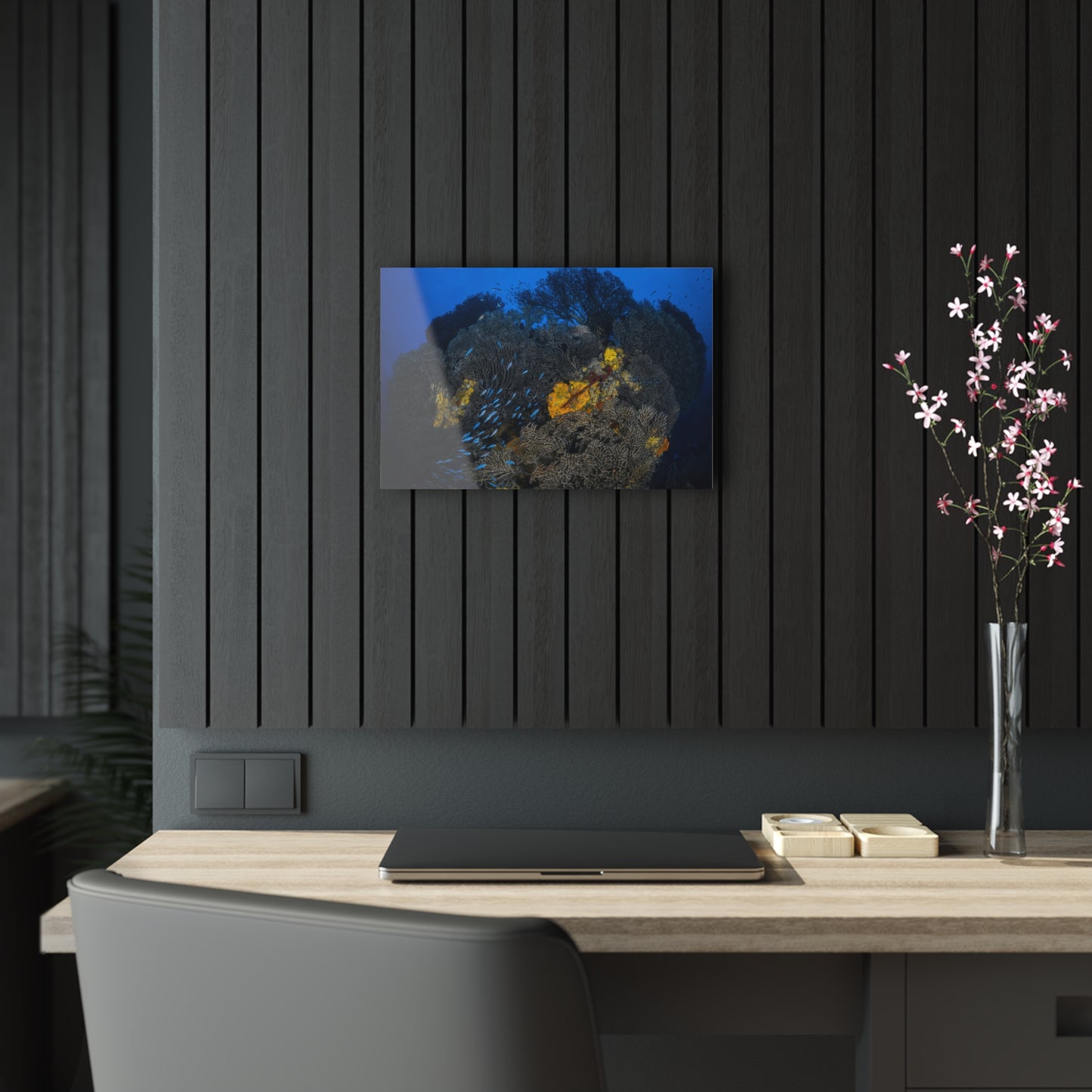 Acrylic Wall Art - Schooling Fish Flow Across a Massive Coral Head