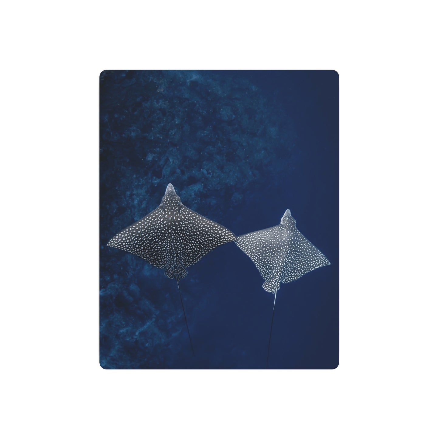 "High-Five" Metal Print