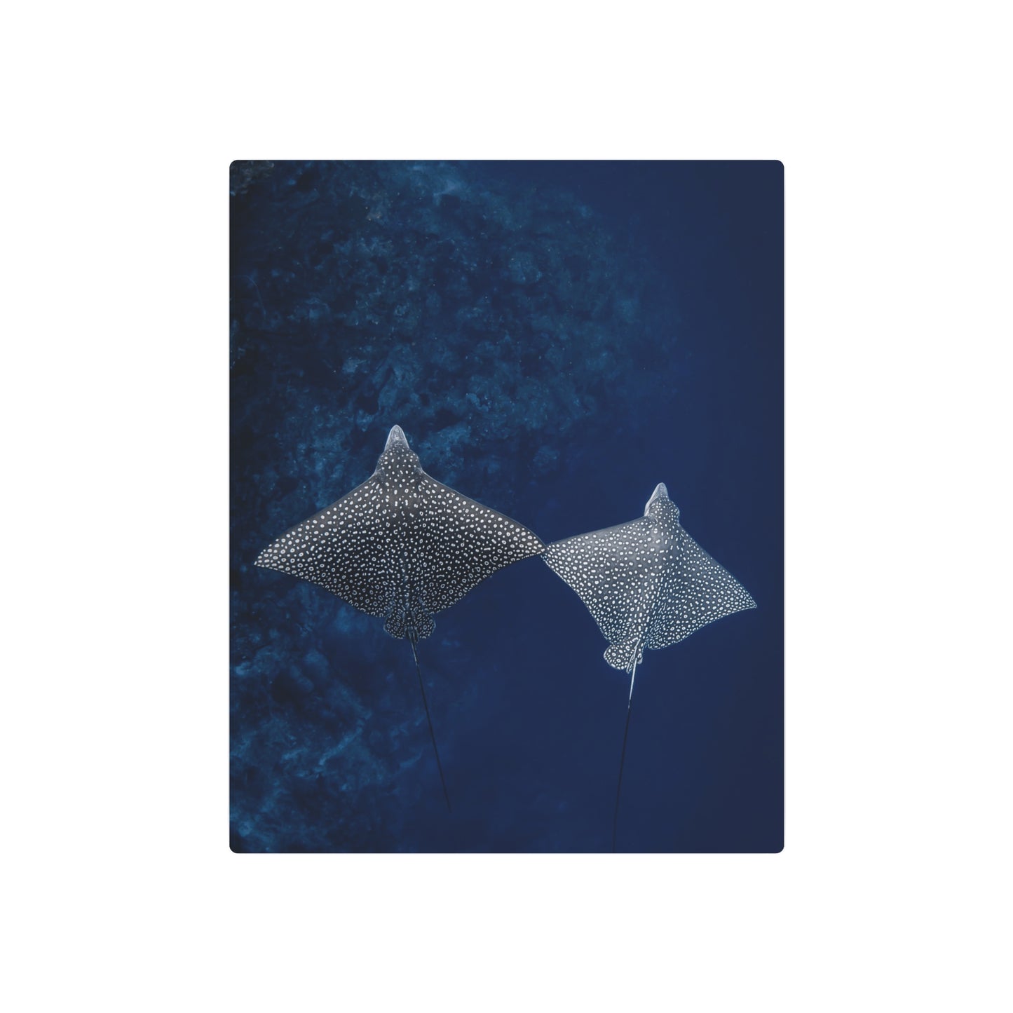 "High-Five" Metal Print