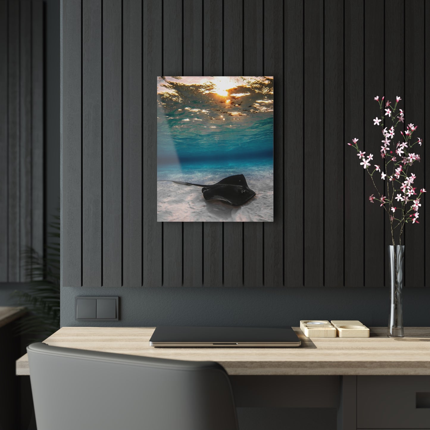 Acrylic Wall Art - A Southern Atlantic Stingray Swimming A Sunrise - Grand Cayman