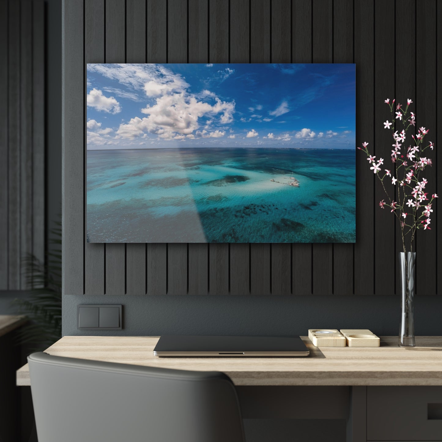 Acrylic Wall Art - Ariel Shot Crystal Clear Water Stingray City Grand Cayman