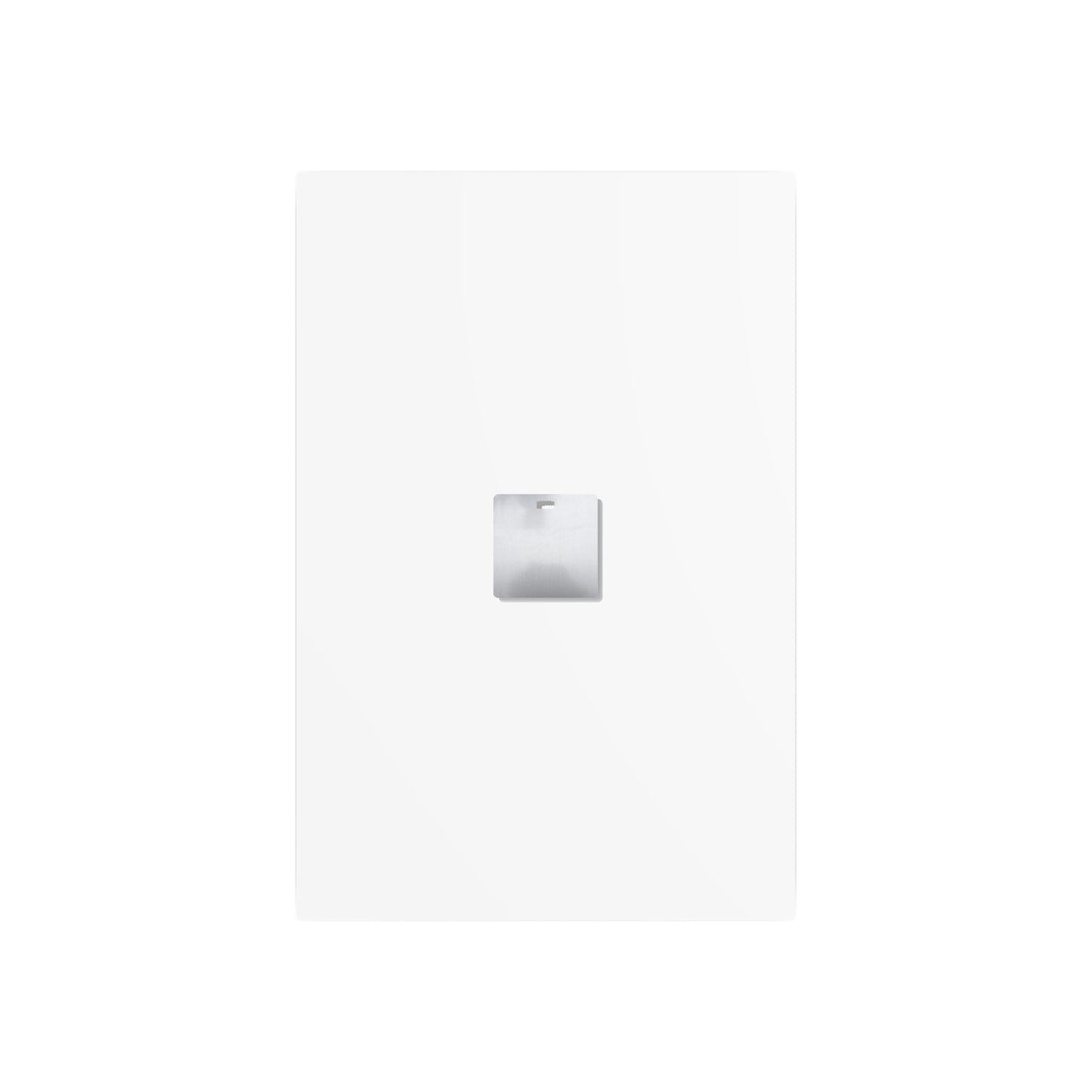 "Stingray Swims" Metal Print