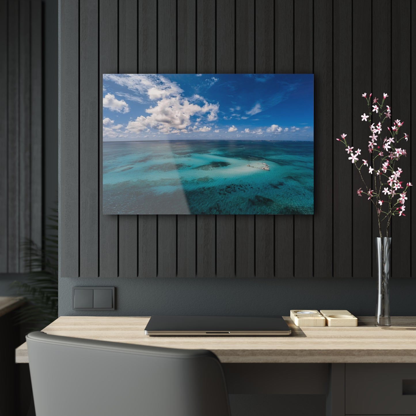 Acrylic Wall Art - Ariel Shot Crystal Clear Water Stingray City Grand Cayman