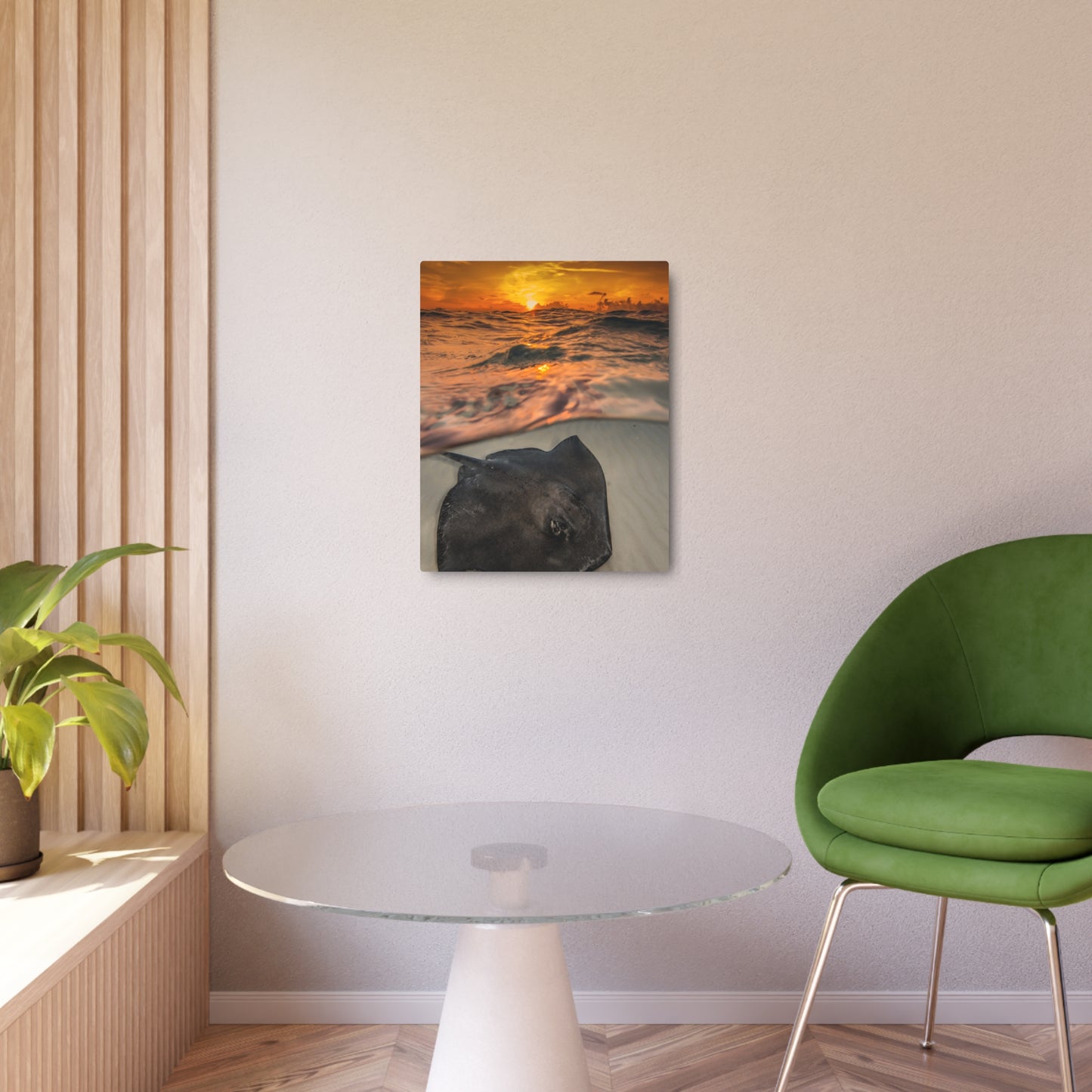 Metal Wall Art - Southern Atlantic Stingray At Sunrise - Grand Cayman
