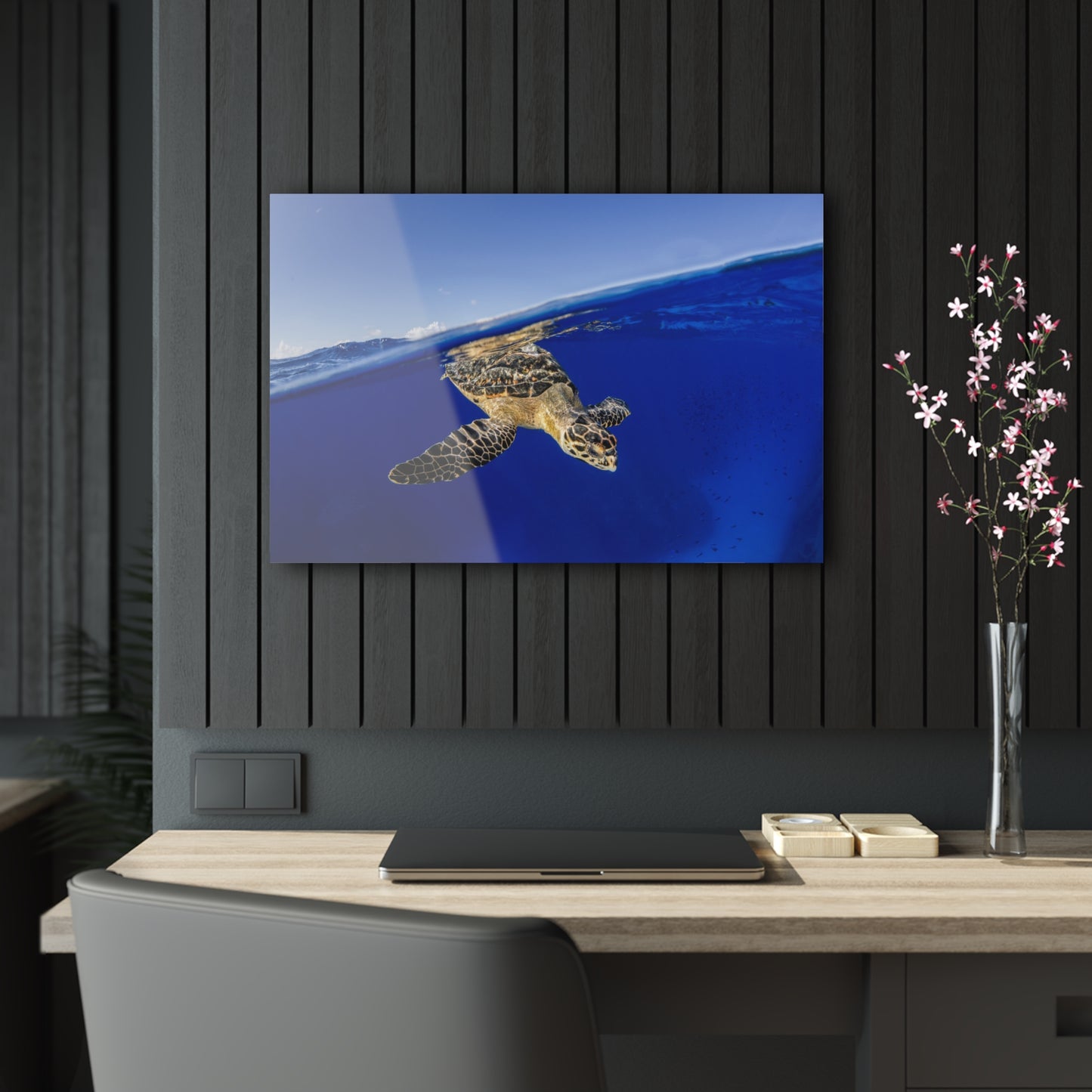 Acrylic Wall Art - Hawksbill Turtle Dive Grand Cayman