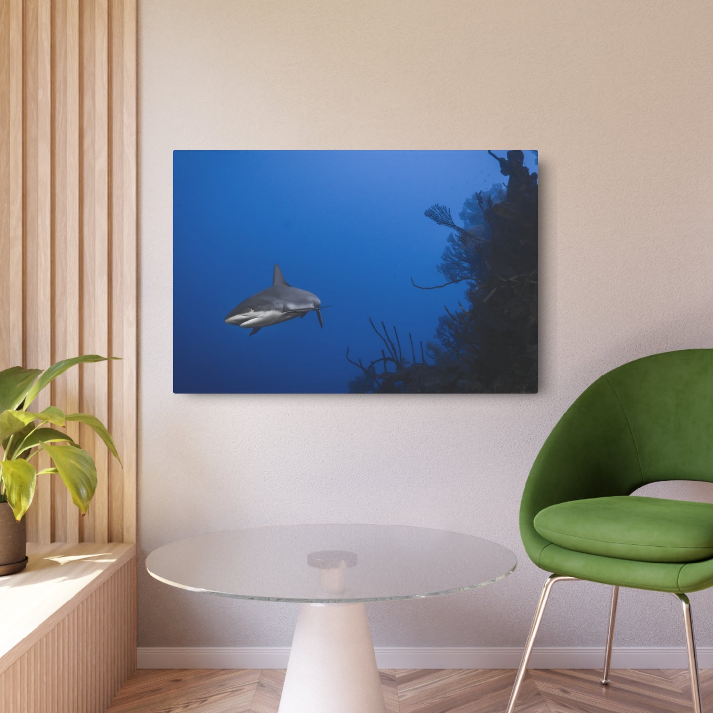 "Reef Shark Cruiser" Metal Print