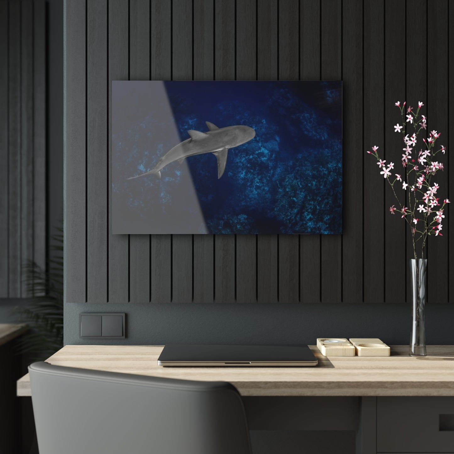 Acrylic Wall Art - Caribbean Reef Shark Cruises The Edge - Grand Cayman