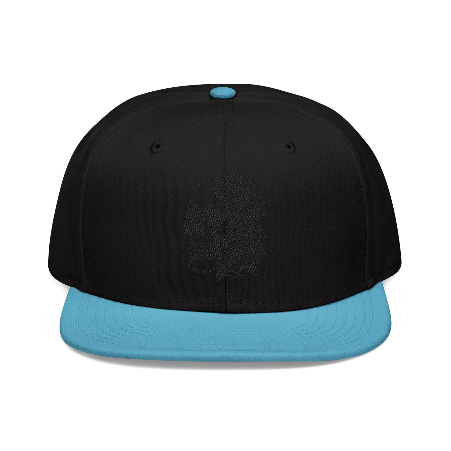 Copy of Snapback Hat