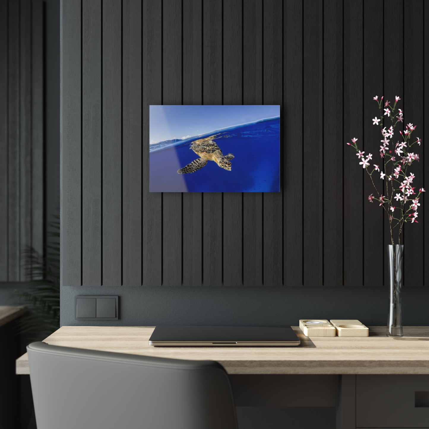 Acrylic Wall Art - Hawksbill Turtle Dive Grand Cayman