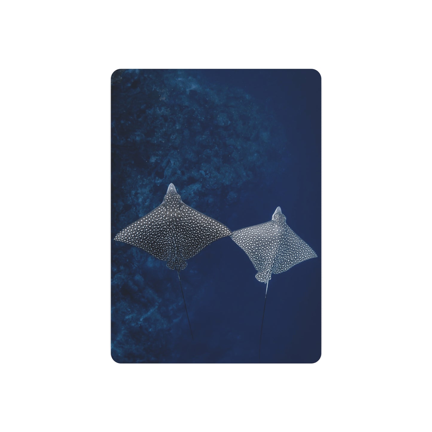 "High-Five" Metal Print